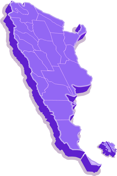 Ilustración de un mapa de Argentina en tonos violetas con notificaciones sobre estado fiscal, recordatorios y soporte personalizado, destacando las características clave de Fisconexo.